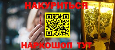 индика Краснознаменск