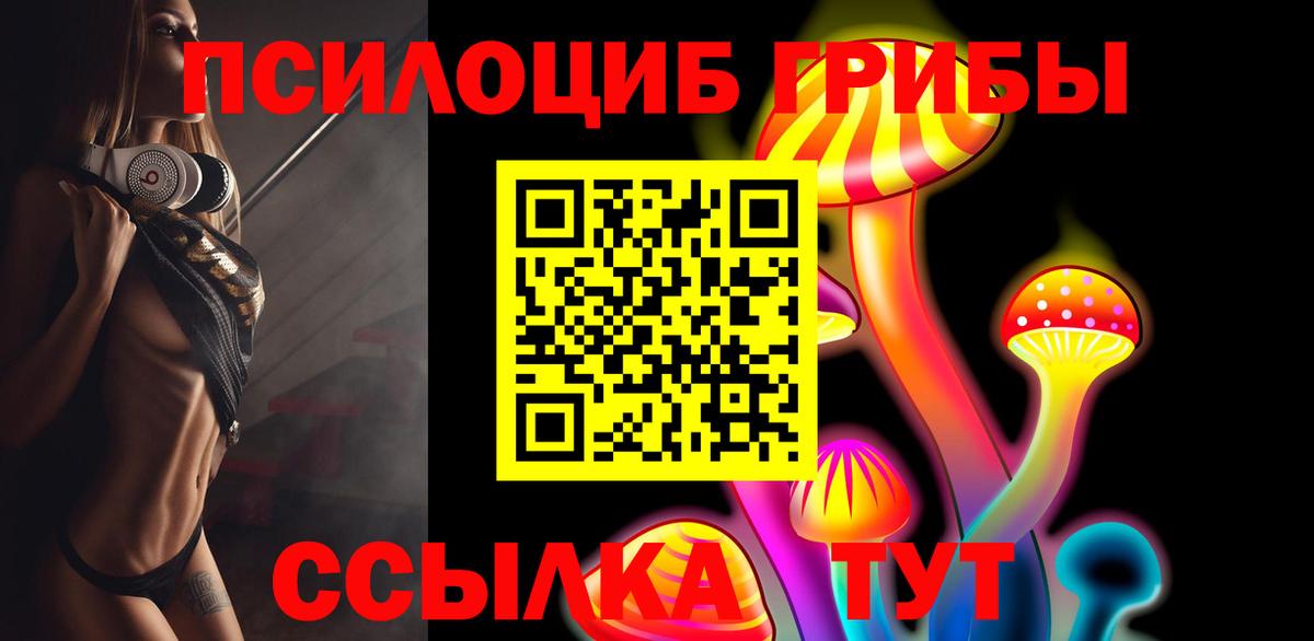 Псилоцибиновые грибы Magic Shrooms Карталы
